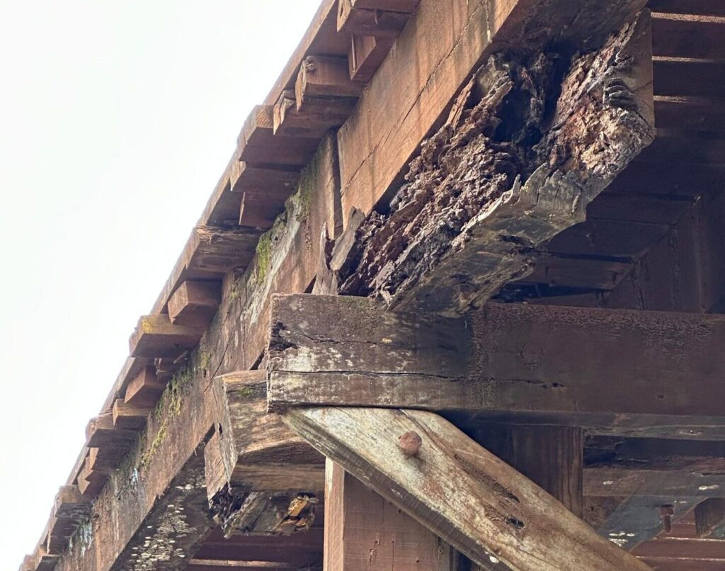 Foto Por: Alex Fagundes